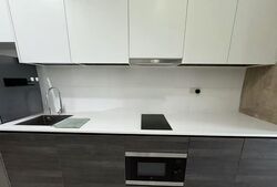 Sims Urban Oasis (D14), Condominium #504315631